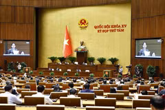 Panorama de la cita (Foto: VNA)