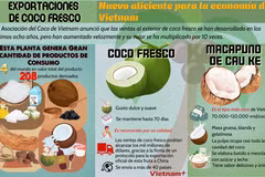 Exportaciones de coco fresco: Nuevo aliciente para la economía de Vietnam
