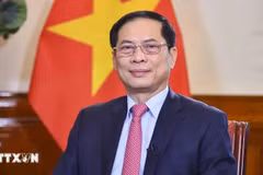 El viceprimer ministro y titular de Relaciones Exteriores de Vietnam, Bui Thanh Son (Foto: VNA)