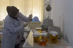 Indonesia aspira a convertirse en el centro de investigación clínica del sudeste asiático (Fuente: https://en.antaranews.com)