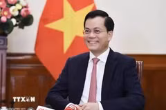 El viceministro de Relaciones Exteriores de Vietnam Ha Kim Ngoc (Foto: VNA)