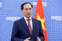 El viceprimer ministro y titular de Relaciones Exteriores de Vietnam, Bui Thanh Son (Foto: VGP)