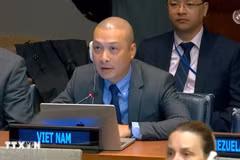 El ministro consejero Nguyen Hoang Nguyen, jefe de la misión permanente de Vietnam ante la ONU (Foto: VNA)