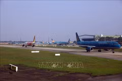 Aerolíneas vietnamitas listas para traer a casa a connacionales en Ucrania