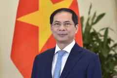 Vietnam reitera compromiso con operaciones de mantenimiento de la paz de ONU