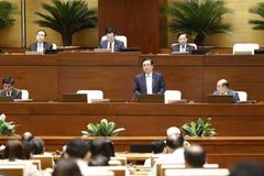Parlamento de Vietnam realiza sesiones de interpelación 