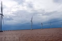 Vietnam y Australia promueven cooperación en respuesta al cambio climático