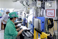 Quang Ninh consolida primer puesto en Índice de Competitividad Provincial de Vietnam