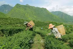 Debaten programa de reducción sostenible de pobreza en la etapa 2021-2025 en Vietnam