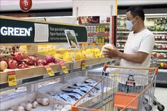 Ingresos de empresas en Hanoi aumentan en mes de promoción 