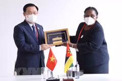 Robustecen nexos de amistad tradicional entre Vietnam y Mozambique