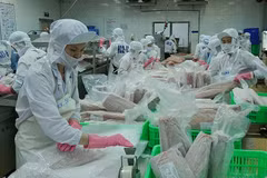 Vietnam apunta a desatascar exportaciones acuícolas