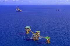 Vietsovpetro recibe primer flujo de petróleo de plataforma de Ca Tam 2