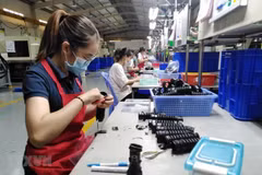 Ciudad Ho Chi Minh trabaja por desarrollar el ecosistema de startups e innovación
