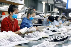 Efectuarán Exposición Internacional de Calzado y Cuero de Vietnam