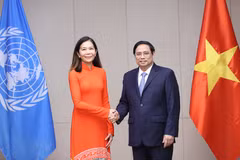 Primer ministro de Vietnam recibe a nueva coordinadora residente de ONU 