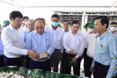 Presidente realiza visita de trabajo a la provincia deltaica de Dong Thap