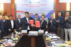 Vietnam favorece desarrollo sostenible de cooperativas agrícolas