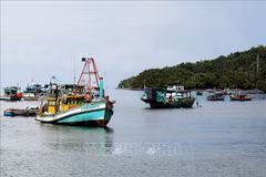 Provincia de Kien Giang se centra en proyectos clave de desarrollo