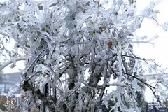 El frío se intensifica en el norte de Vietnam
