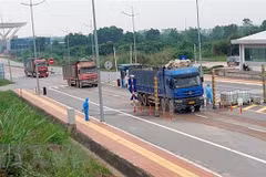 Provincia de Quang Ninh despacha más de 45 mil toneladas de mercancías