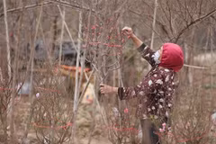 Temperatura aumenta en el norte de Vietnam