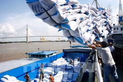 Destacan evaluaciones activas de organizaciones internacionales sobre economía de Vietnam