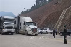 Buscan eliminar congestión de carga en puertas fronterizas de Vietnam