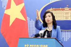 Aclaran perspectivas de Vietnam al participar en debate sobre el IPEF