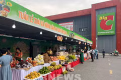 Publican las diez empresas minoristas más prestigiosas de Vietnam en 2022