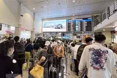 Aeropuerto Tan Son Nhat de Vietnam ofrece servicios a número récord de pasajeros