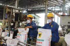 Exportaciones de fertilizantes de Vietnam registran nuevo récord