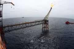 Modifican por completo Ley de Petróleo en Vietnam en la nueva situación