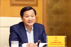 Viceprimer ministro vietnamita insta a mantener precios de servicios de salud 