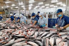 Exportaciones de pescado Tra alcanzarán este año ingresos récords