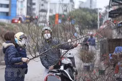 Otra ola de frío intenso afecta el Norte y Centro de Vietnam