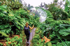 Localidades vietnamitas aceleran transformación digital en el turismo