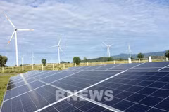 Grupo de Electricidad de Vietnam por impulsar desarrollo de energías limpias