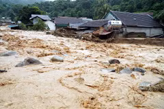Inundaciones cobran vida de ocho personas en localidades vietnamitas