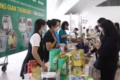 Impulsan conexión comercial entre Da Nang y provincias altiplanas de Vietnam