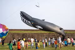 Festival de cometas gigantes en provincia central de Vietnam