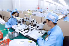 Vietnam, destino prometedor para grandes empresas del mundo