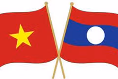 Nutrida participación en última semana del cuestionario sobre solidaridad especial Vietnam-Laos