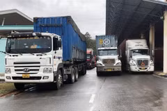 Aumentan actividades de comercio internacional a través de puertas fronterizas en provincia vietnamita