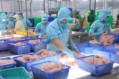 Exportaciones acuícolas de Vietnam superan los 10 mil millones de dólares