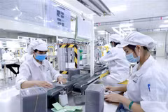 Vietnam aprueba programa de asistencia al desarrollo sostenible de empresas privadas