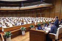 Ministro vietnamita propone agilizar desarrollo de economía agrícola