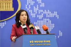 Cancillería de Vietnam informa sobre caso de connacionales que perdieron contacto en Corea del Sur