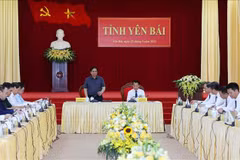 Inspeccionan labores anticorrupción en Ciudad Ho Chi Minh