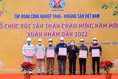 Provincia vietnamita exporta primer lote de carbón del Año Nuevo Lunar 2022